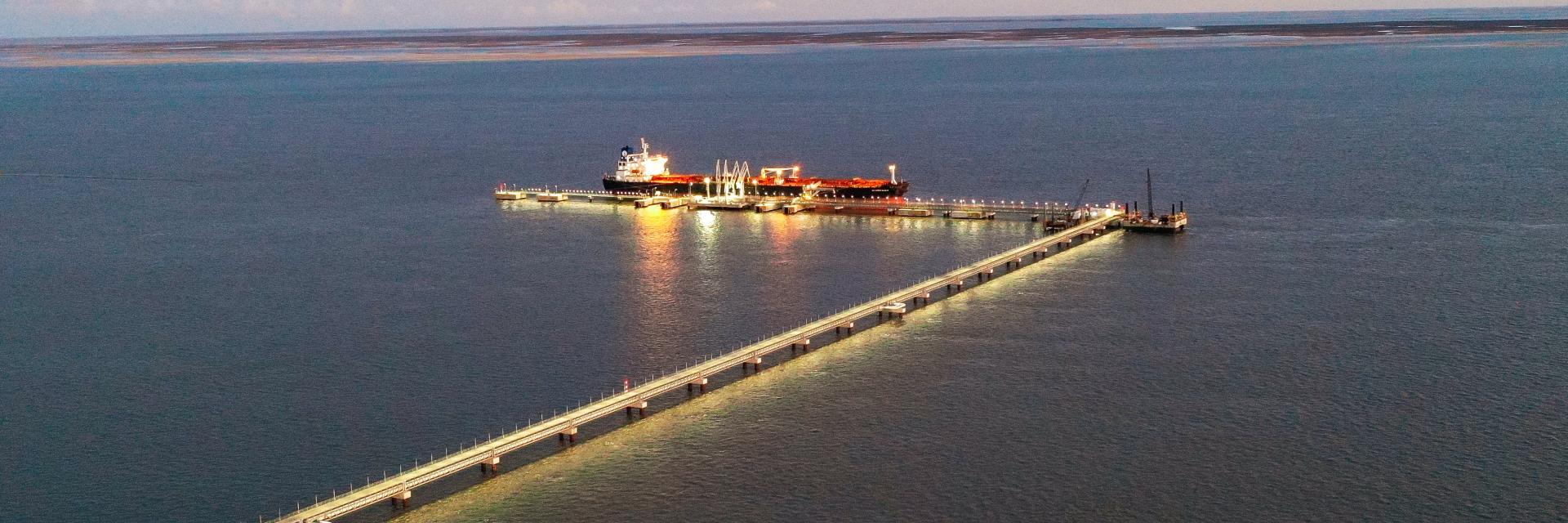 Muelle Proyecto Rosa Negra - Puerto Rosales 