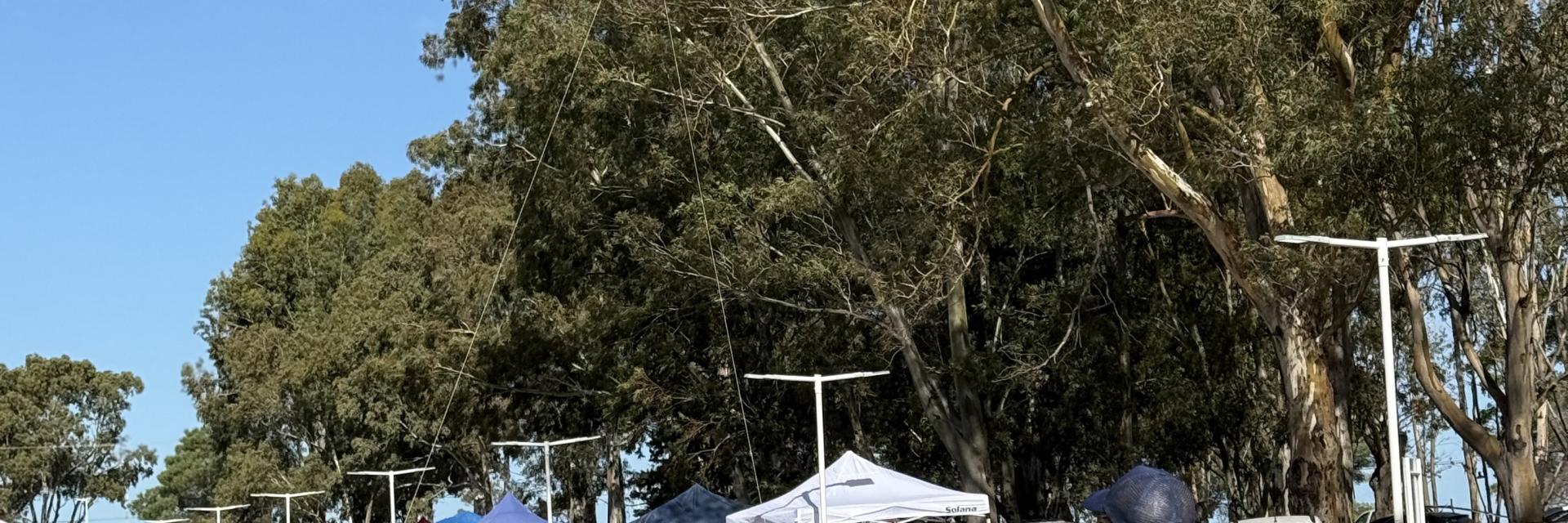 Volando por la inclusión 