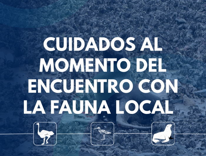 Recomendaciones para la convivencia responsable con fauna silvestre